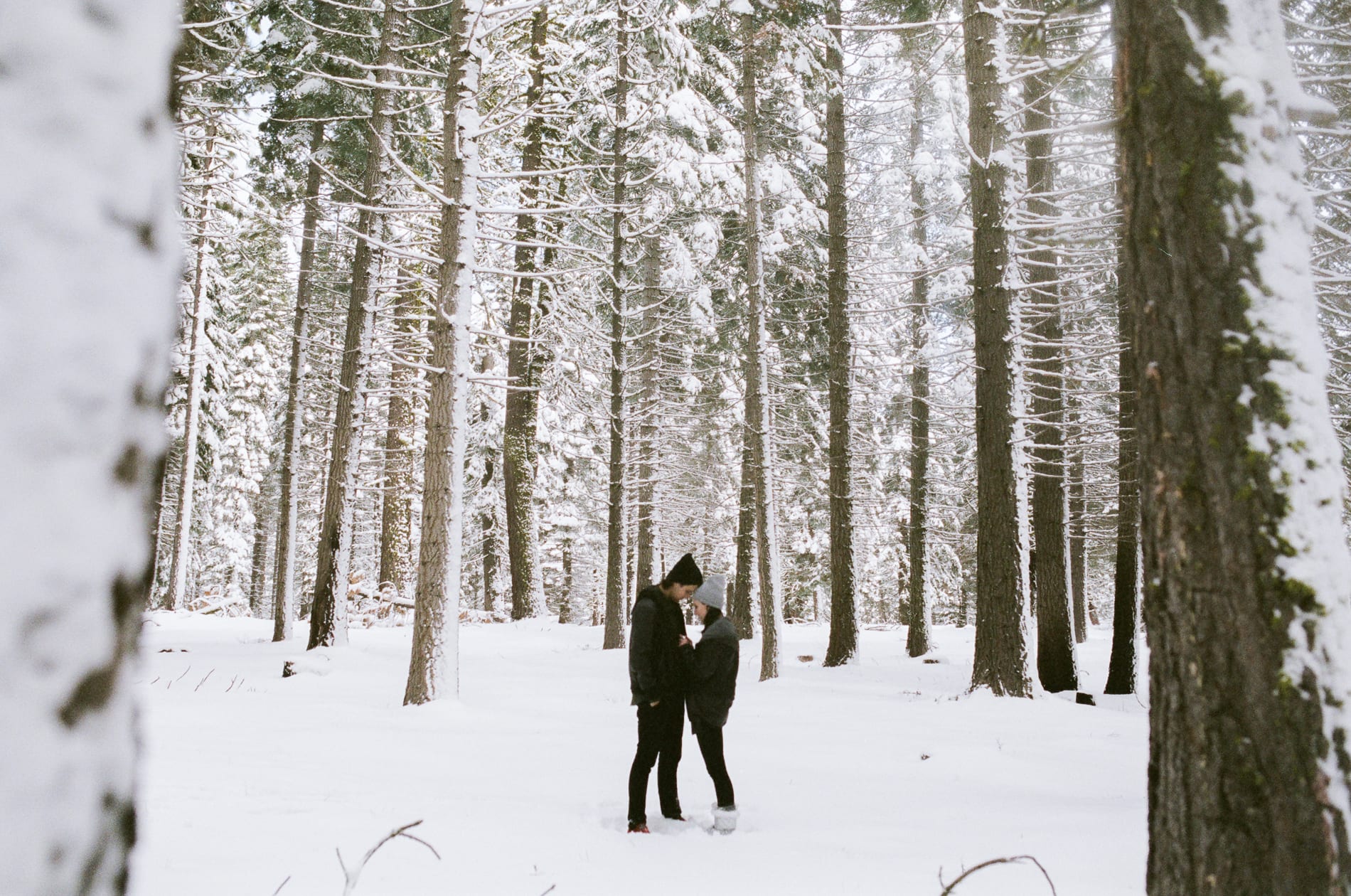mt-lassen-winter-snow-couples-photo-19