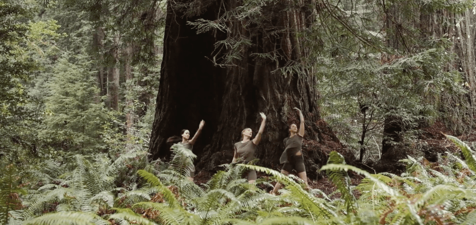 “Planets” by Joseph Dance Video | Fern Canyon | Redwoods | California Videographer