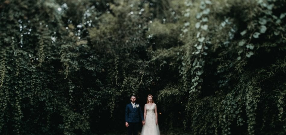 Stephen + Stephanie | The Flower Farm Inn Loomis California Wedding Photographer